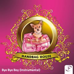 Bye Bye Boy (Instrumental)