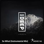 So What (Instrumental Mix)